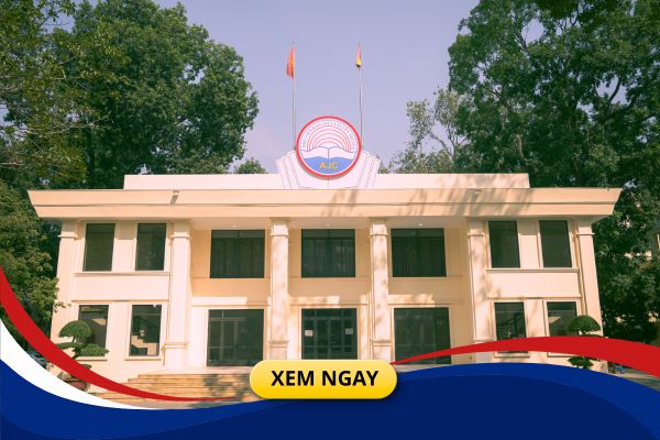 Có nên học văn bằng 2 ngôn ngữ Anh không? Học ở đâu là tốt nhất?